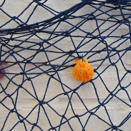 Negresco 4* 리도 디 예솔로