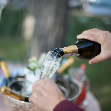 酒店 内格莱斯科酒店