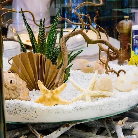 内格莱斯科酒店 4*