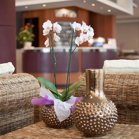 酒店 内格莱斯科酒店 4*